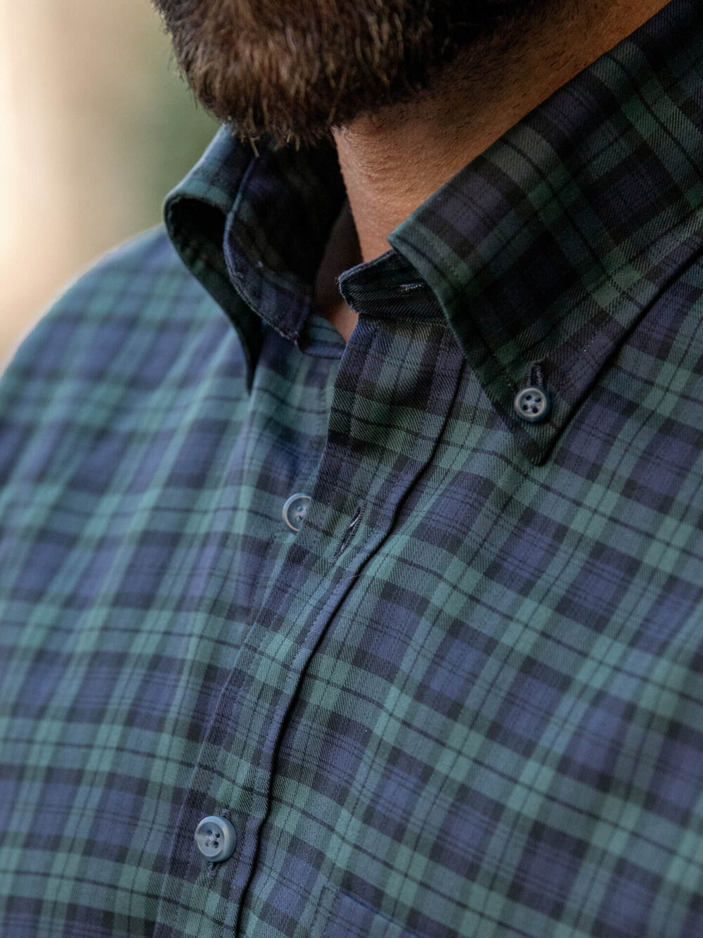 Soft Ivy Button Down