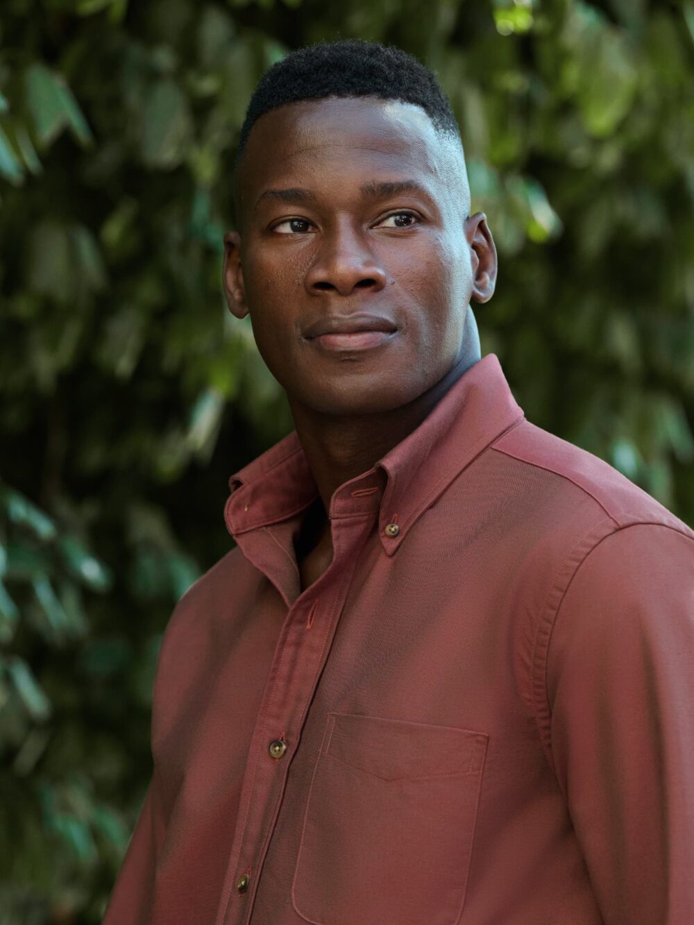 Soft Ivy Button Down